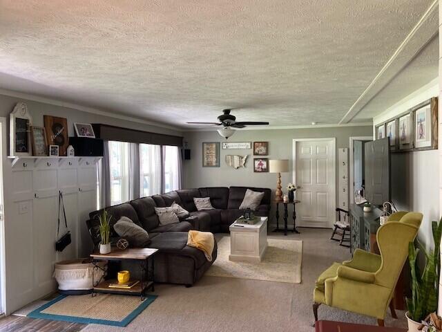 carpeted living room with ceiling fan and a textured ceiling