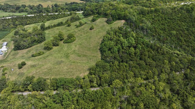 1000 Old Sparta Rd, Sparta, KY 41086 - photo 2