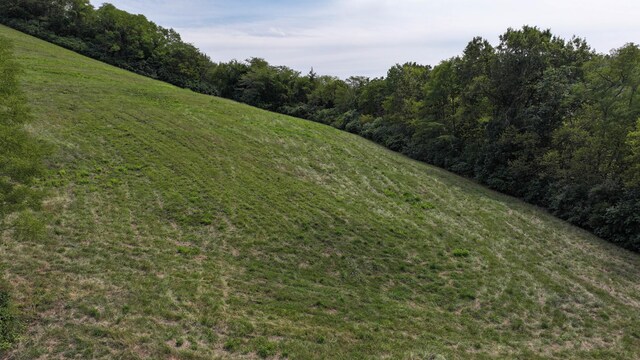 1000 Old Sparta Rd, Sparta, KY 41086 - photo 4