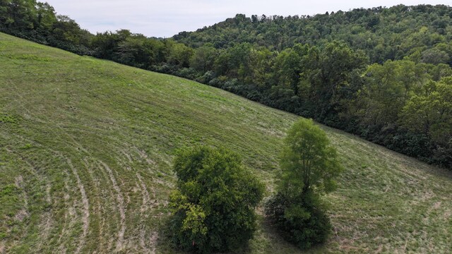 1000 Old Sparta Rd, Sparta, KY 41086 - photo 5