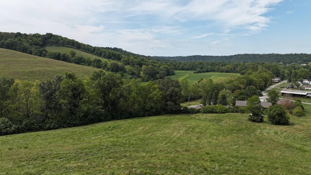 1000 Old Sparta Rd, Sparta, KY 41086 - photo 6