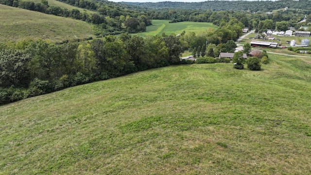 1000 Old Sparta Rd, Sparta, KY 41086 - photo 9