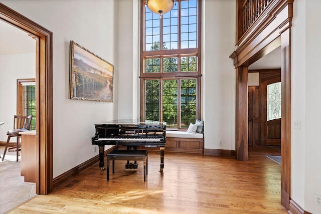 miscellaneous room with light wood-type flooring, a towering ceiling, and a healthy amount of sunlight