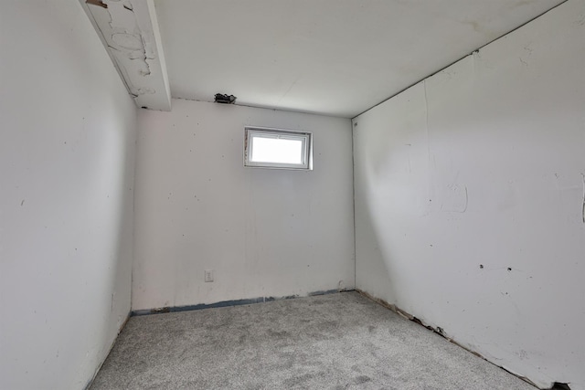 basement featuring light colored carpet