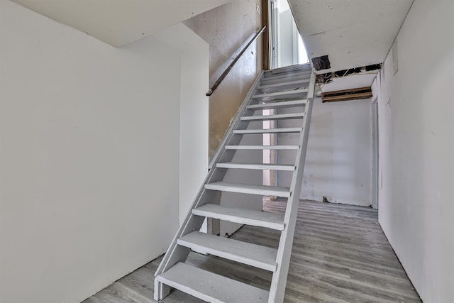 stairway with wood-type flooring