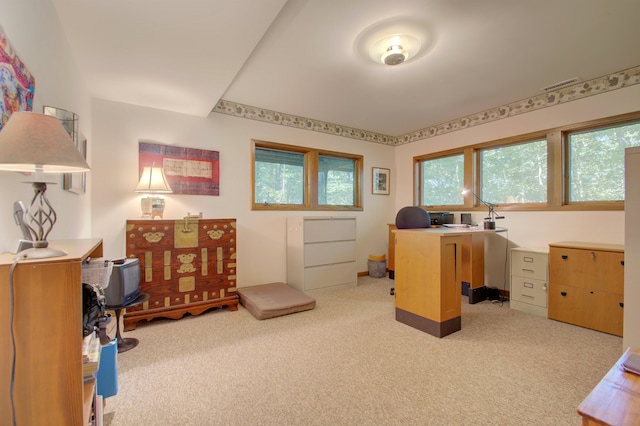 view of carpeted home office