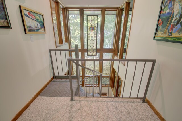 stairway with carpet flooring