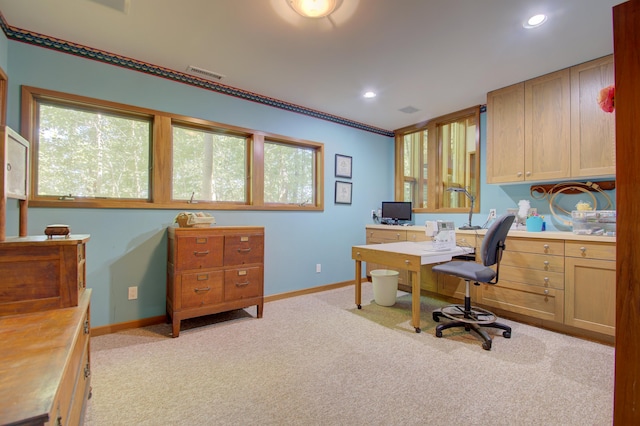 view of carpeted office space