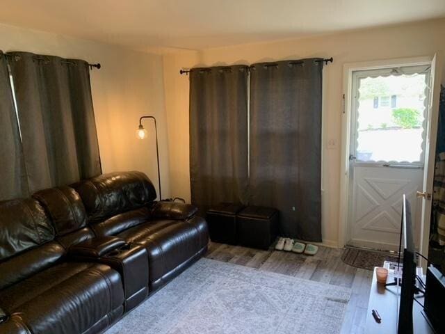 living room featuring wood-type flooring