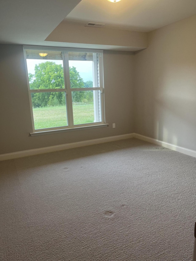 spare room featuring carpet floors