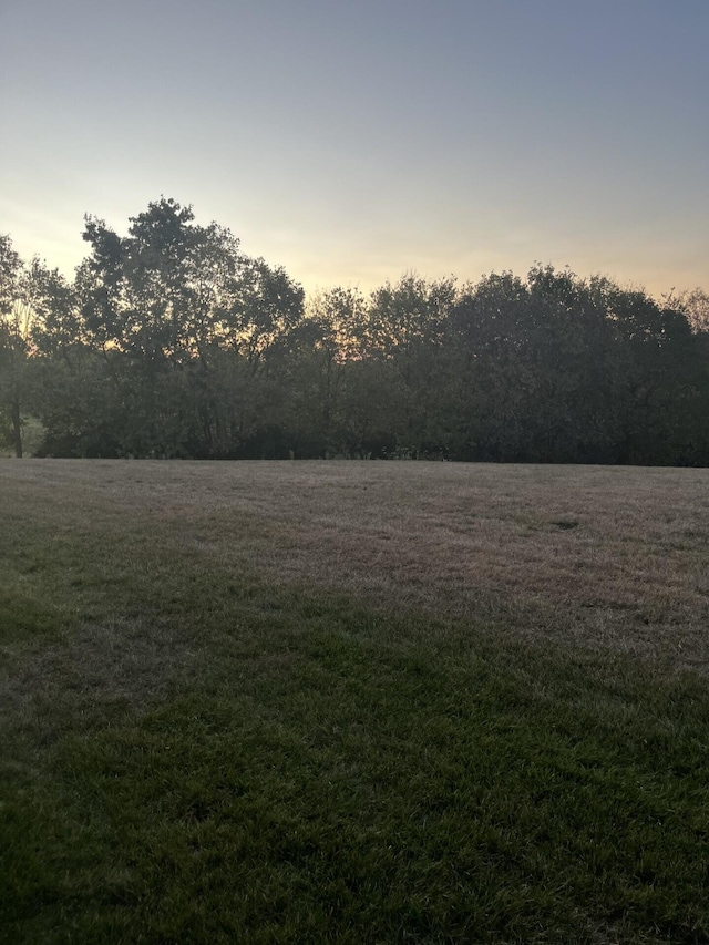 view of yard at dusk