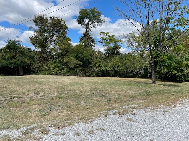 1049 Rose Pl, Cold Spring, KY 41076 - view of yard