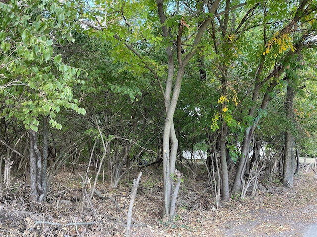 1049 Rose Pl, Cold Spring, KY 41076 - view of nature