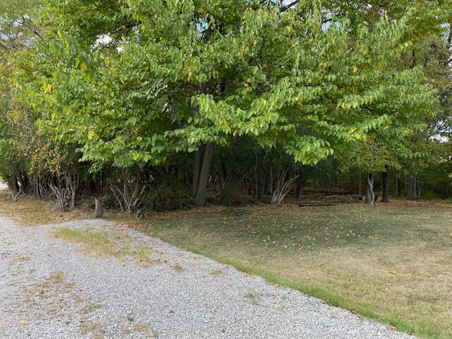 1049 Rose Pl, Cold Spring, KY 41076 - view of road