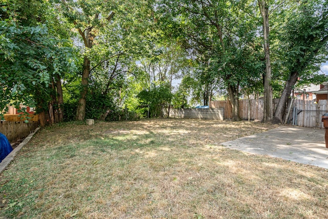 view of yard featuring a patio area