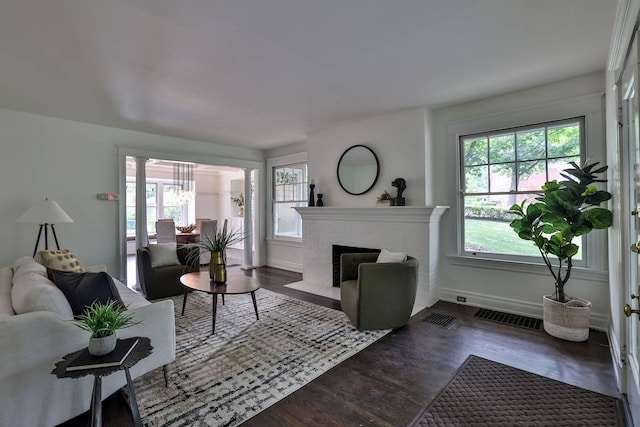 living room with a fireplace, plenty of natural light, and dark hardwood / wood-style floors