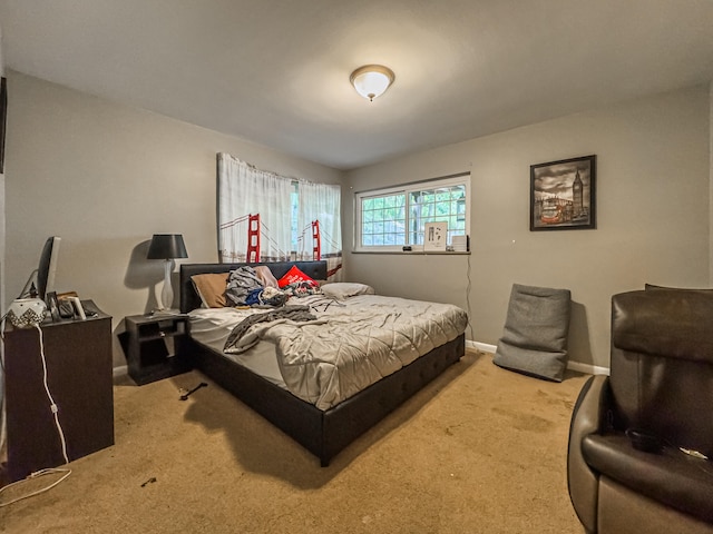 view of carpeted bedroom