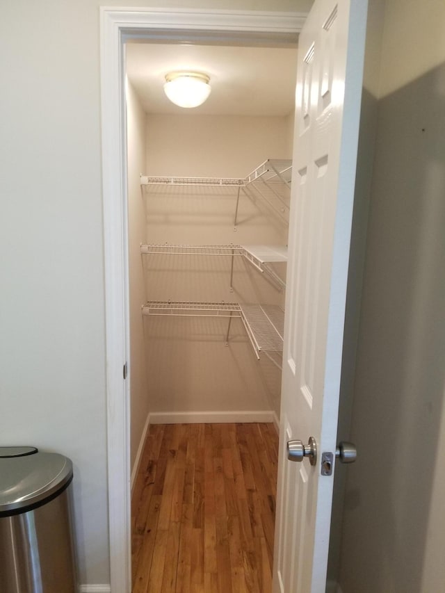 walk in closet with hardwood / wood-style floors