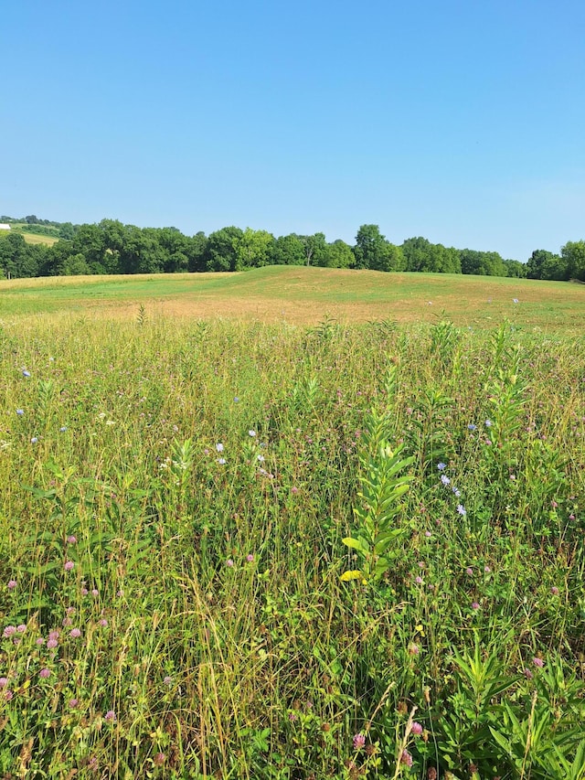 405 Robinson Rd, Cynthiana KY, 41031 land for sale