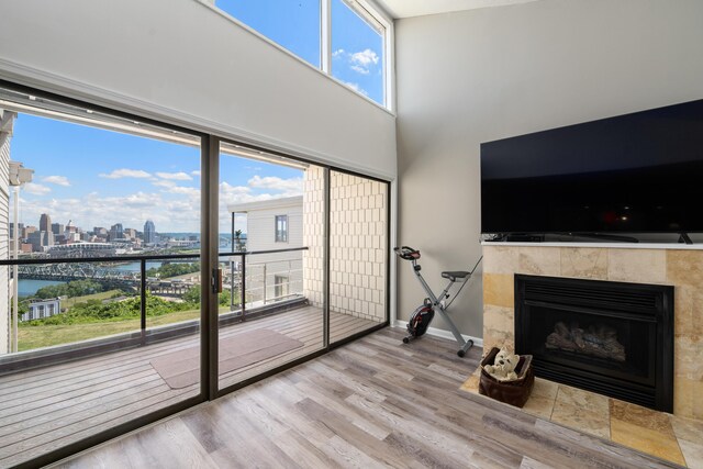 living room with a fireplace and light hardwood / wood-style flooring