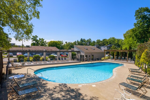 view of pool featuring a patio