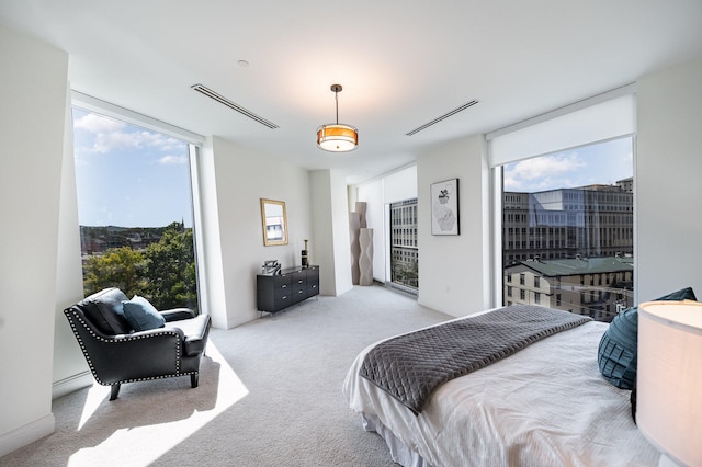 carpeted bedroom with multiple windows