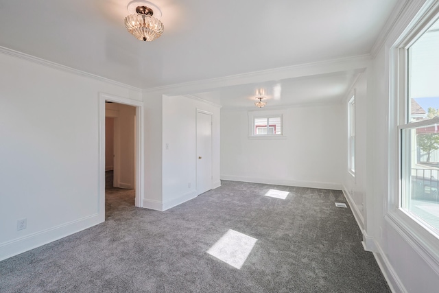 unfurnished room with carpet floors and crown molding