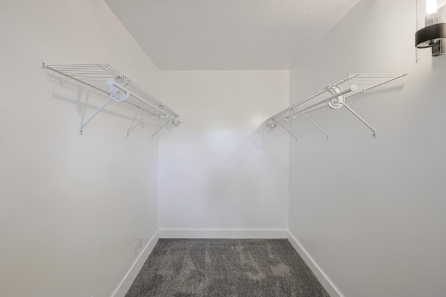 spacious closet with dark colored carpet