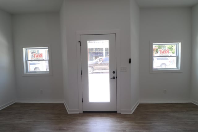 doorway with dark hardwood / wood-style flooring