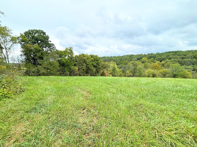 view of landscape featuring a rural view