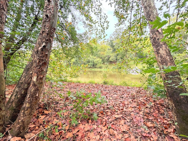 view of nature with a water view