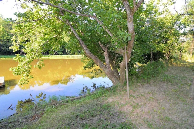 view of water feature