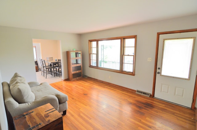 living room with wood-type flooring