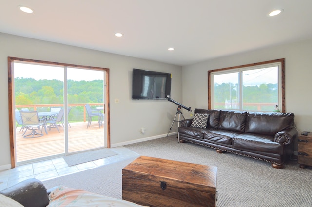 view of carpeted living room