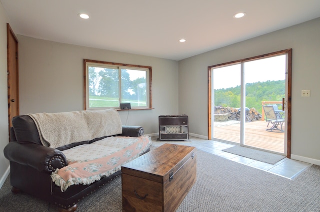 living room with carpet and plenty of natural light