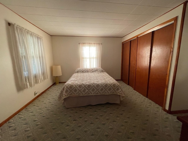 bedroom featuring carpet floors and a closet