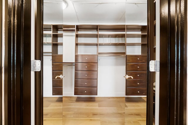 walk in closet featuring light hardwood / wood-style floors