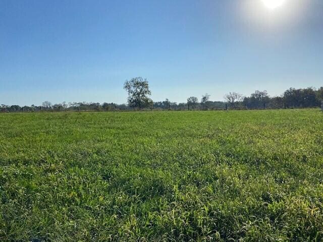 view of nature with a rural view