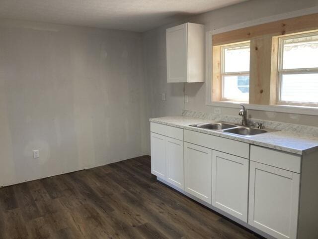 kitchen featuring white cabinets, sink, and dark hardwood / wood-style flooring