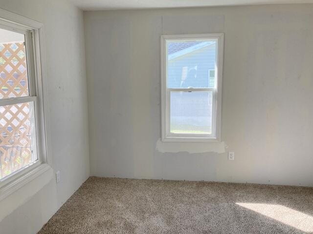 carpeted empty room featuring a wealth of natural light