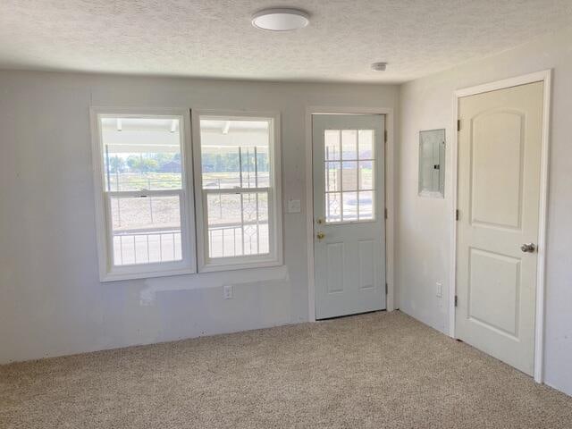 doorway to outside with a textured ceiling, electric panel, plenty of natural light, and carpet flooring