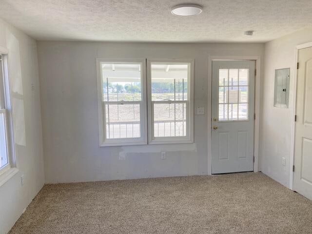 doorway to outside featuring carpet floors, electric panel, and a textured ceiling