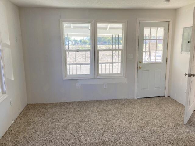 doorway to outside featuring light colored carpet