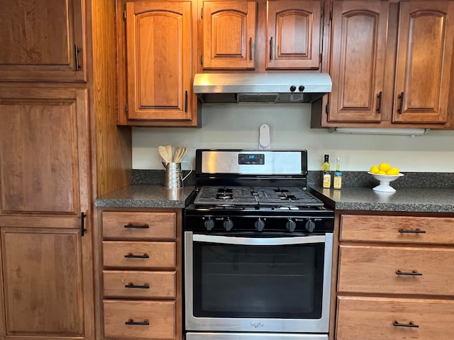 kitchen with gas stove and range hood