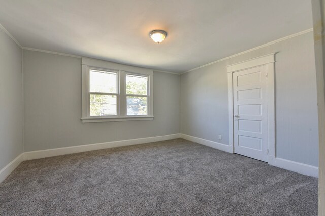 empty room featuring crown molding and carpet floors