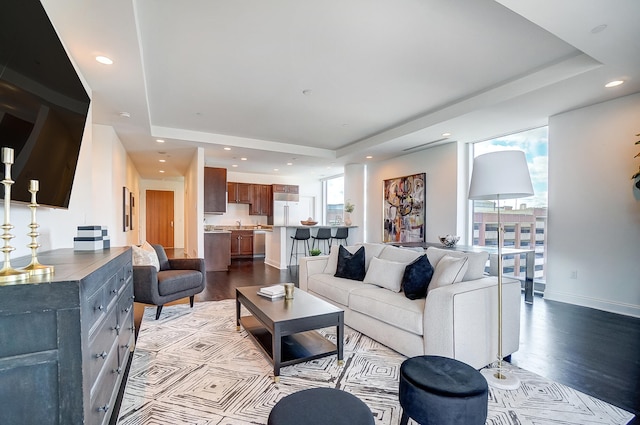 living room featuring wood-type flooring and a tray ceiling