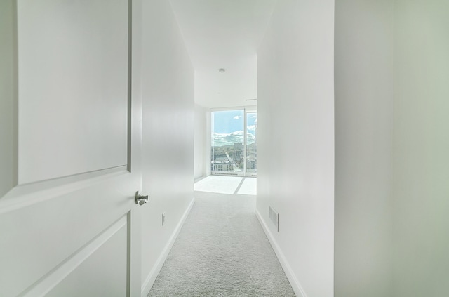 hall featuring light colored carpet