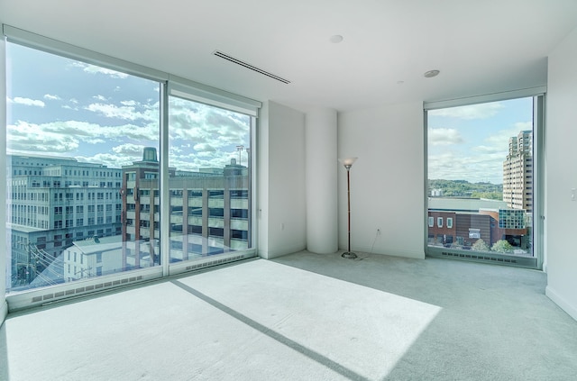 empty room featuring a healthy amount of sunlight and carpet flooring