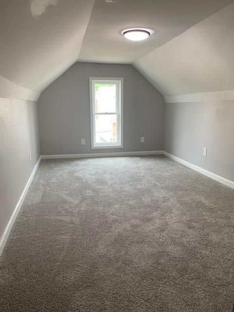 bonus room featuring carpet and vaulted ceiling