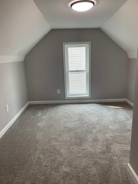 bonus room with carpet flooring and lofted ceiling